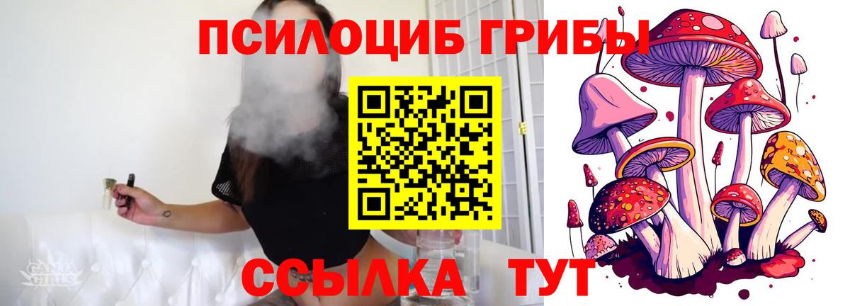 Псилоцибиновые грибы мухоморы  Вход с VPN  Галлюциногенные грибы GOLDEN TEACHER  Новоалтайск 