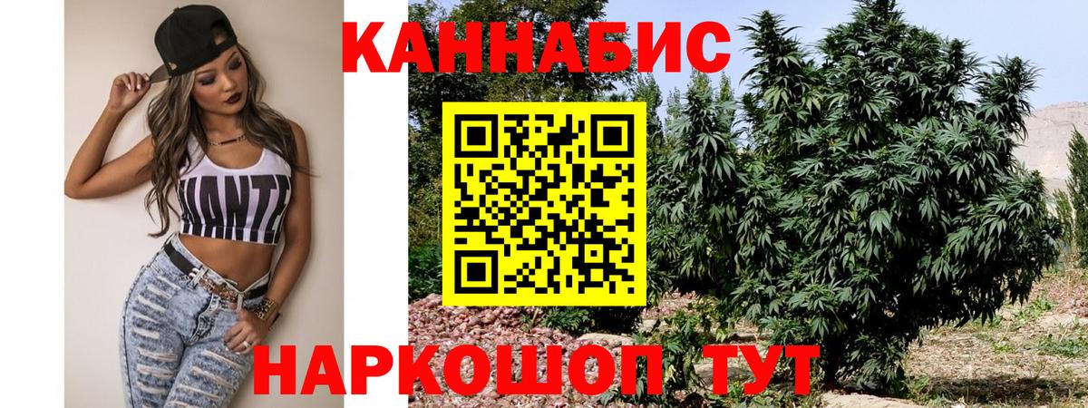 Марихуана конопля Новоалтайск